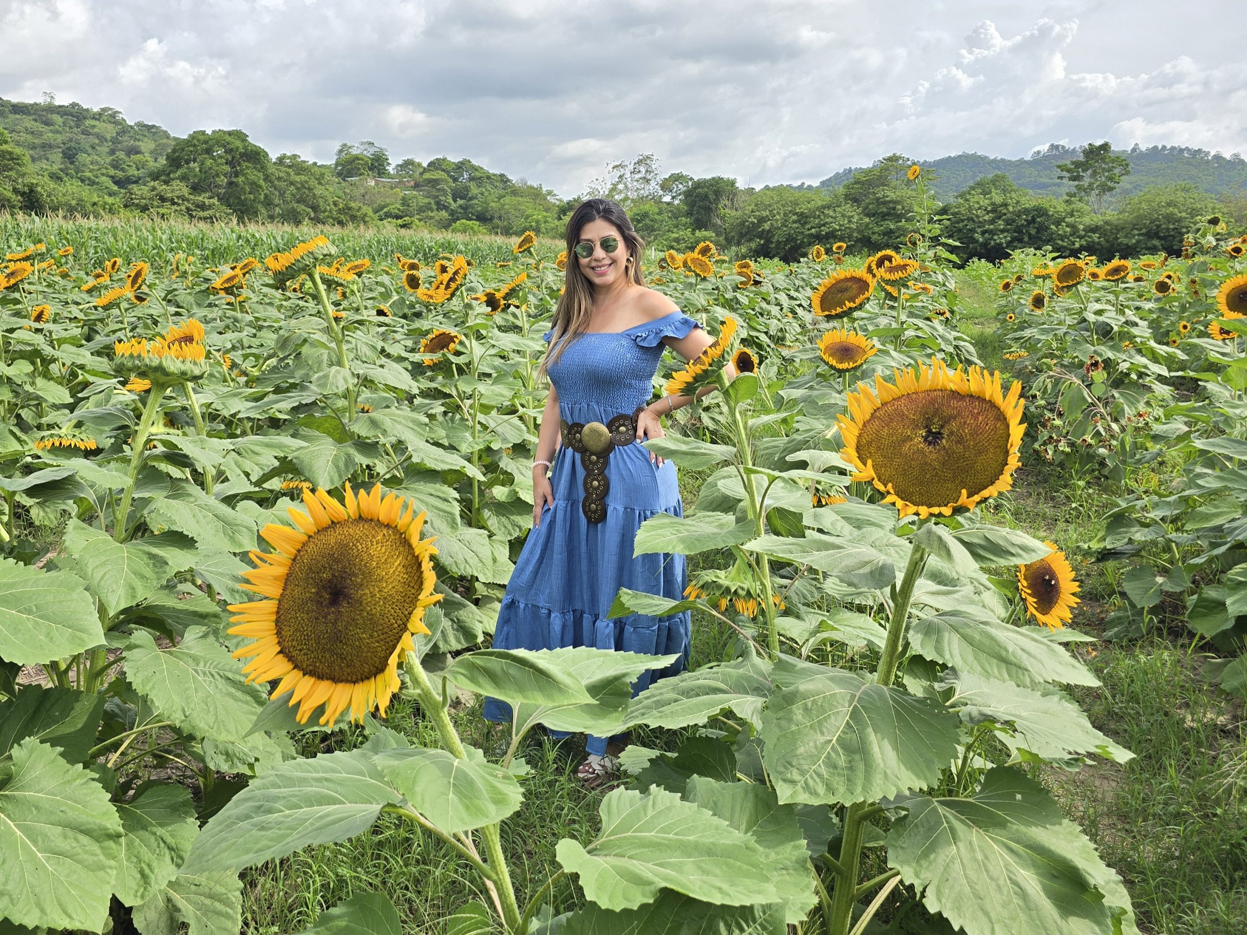 Sunflower Park in Copan