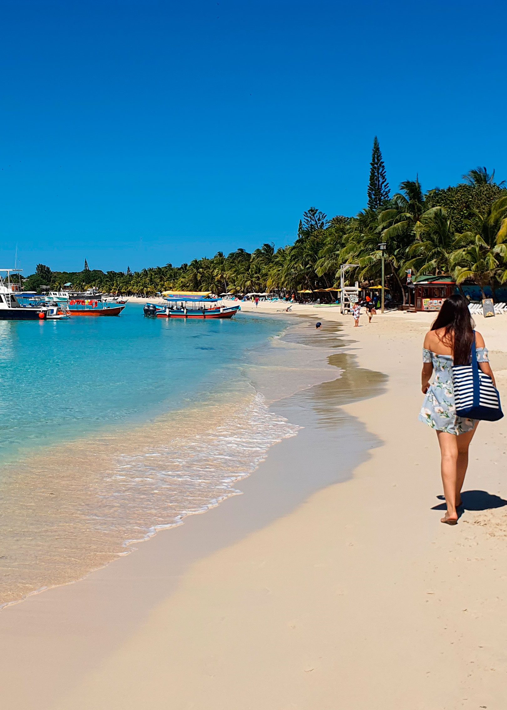 Playa del Caribe en Roatán, Honduras, con agua turquesa y palmeras